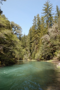 South Fork Eel River with flowing blue water.