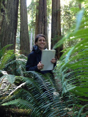 Betsy Franson records Fern Watch data at Prairie Creek Redwoods State Park